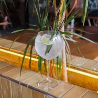 Bombay Sapphire & Tonik