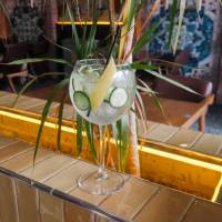 Hendrick's Orbium & Tonik