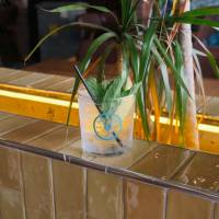 Malfy con Limone & Tonik