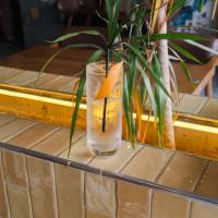 Monkey 47 Barrel Cut & Tonik