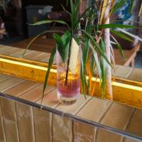 Monkey 47 Sloe & Tonik