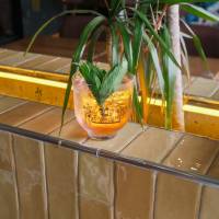 Three Brothers Hibiscus-Elderflower & Tonik