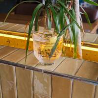 Three Brothers & Tonik