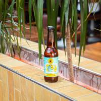 Gara Guzu IPA 4C