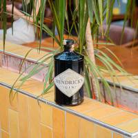 Hendricks