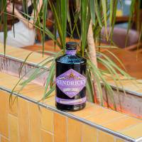 Hendrick's Grand Cabaret