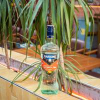 Garrone Triple Sec