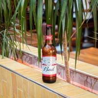 Bud